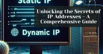 IP Addresses